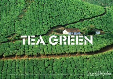 08-Tea-green