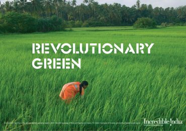 20-Revolutionary-green